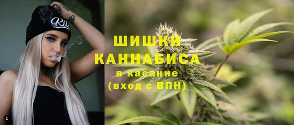 прущие грибы Арсеньев