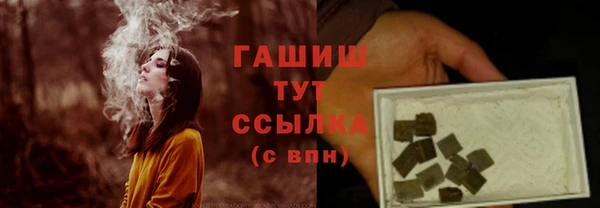 PSILOCYBIN Бородино