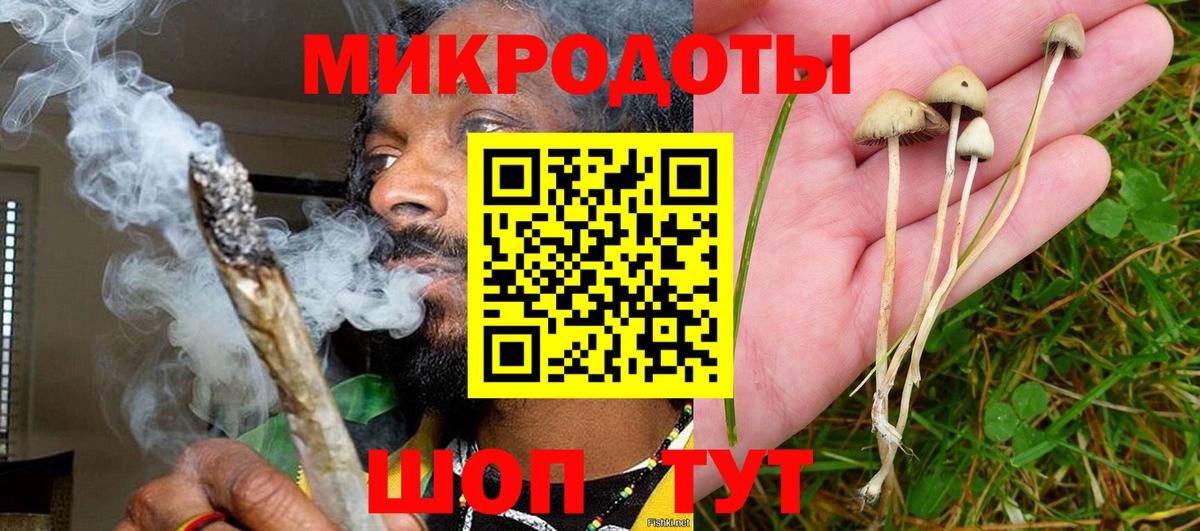 Моздок  Галлюциногенные грибы Magic Shrooms  Вход с VPN  Псилоцибиновые грибы прущие грибы 
